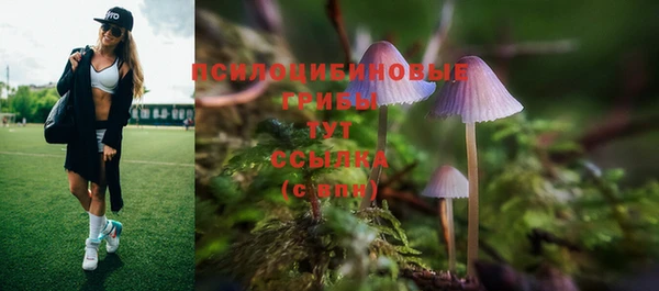 MDMA Premium VHQ Покров