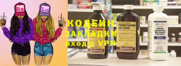 индика Покачи