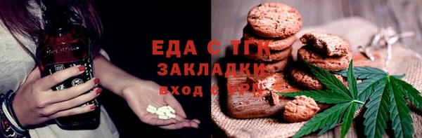индика Покачи