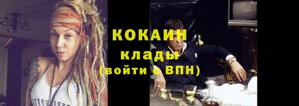 индика Покачи