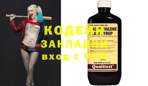 индика Покачи