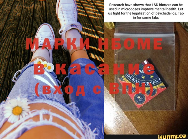индика Покачи