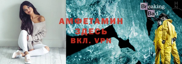 индика Покачи