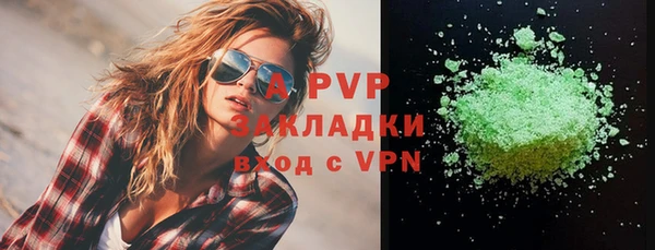 индика Покачи