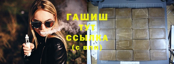 индика Покачи